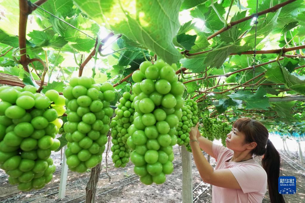 鸿利集团 菲律宾